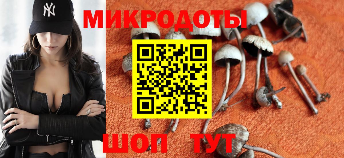 Псилоцибиновые грибы Magic Shrooms  Вход с VPN  Стрежевой 